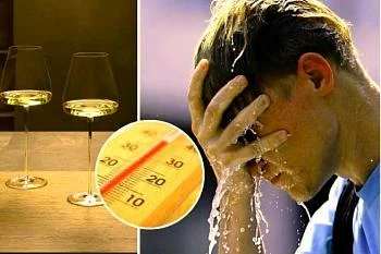 Чем опасен алкоголь в жару?