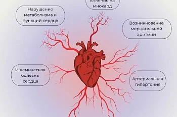 Вред алкоголя