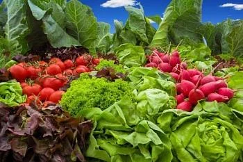 Топ 5 овощей с самым высоким содержанием питательных веществ