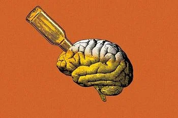 Влияние алкоголя на мозг Влияние алкоголя на мозг