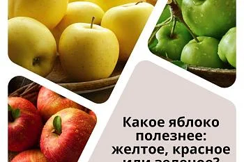 Желтые, зеленые, красные яблоки: в чем их отличия, кроме цвета? Желтые, зеленые, красные яблоки: в чем их отличия, кроме цвета?