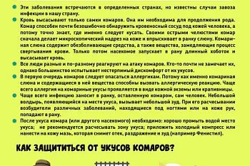 Уроки безопасности. 