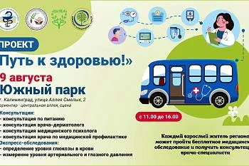 Проект "Путь к здоровью"