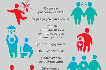 Мифы о ВИЧ-инфекции