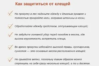 Клещи тоже ждали майских