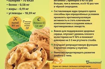 "Коротко о полезном" Грецкий орех