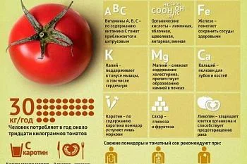 Коротко о важном - ПОМИДОР (томат) Коротко о важном - ПОМИДОР (томат)