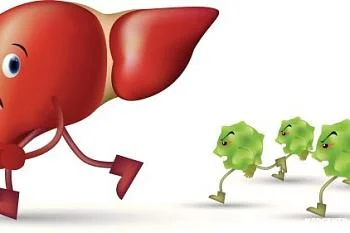 «Профилактика вирусного гепатита»