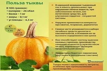 "Коротко о полезном" - ТЫКВА
