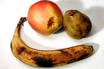 Какие овощи, фрукты, ягоды и зелень покупать нельзя?