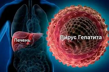 Гепатит