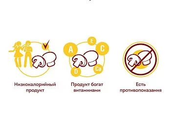 Шампиньоны – вкусно и полезно?