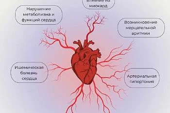 Влияние алкоголя на сердечно-сосудистую систему