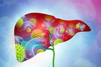 Гормоны при гепатите С