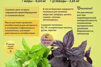 Коротко о полезном. Базилик