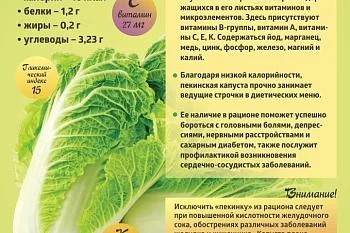 Коротко о полезном. "Пекинская капуста"