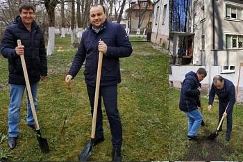 На территории больниц и поликлиник региона стартовал «Зеленый марафон» На территории больниц и поликлиник региона стартовал «Зеленый марафон»