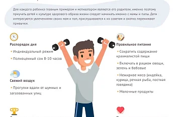 ЗОЖ для детей. Основные принципы