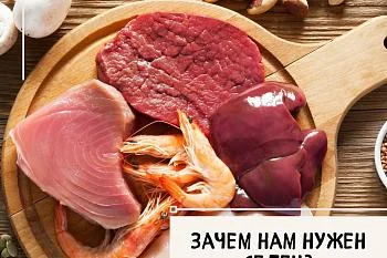 Зачем нам нужен селен?