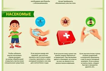 Уроки безопасности. 