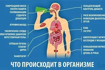 Что происходит в организме при употреблении алкоголя?