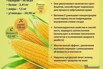 Коротко о полезном. "Кукуруза"