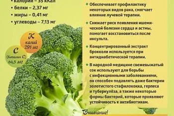 "Коротко о полезном"  БРОККОЛИ