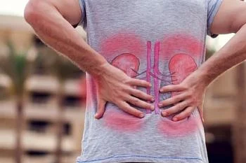  "Алкоголь: время собирать камни – в почках"