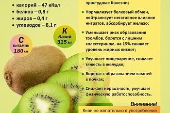 Коротко о полезном. "Киви"