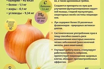 Коротко о полезном. Лук