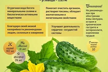 Коротко о полезном. "Огурец"