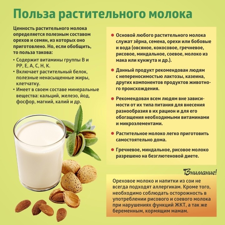 Растительное молоко можно в пост