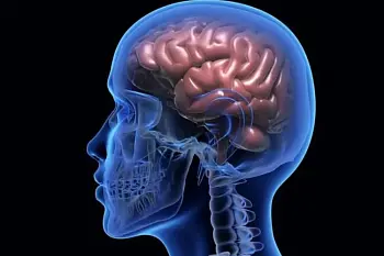 Здоровье головного мозга