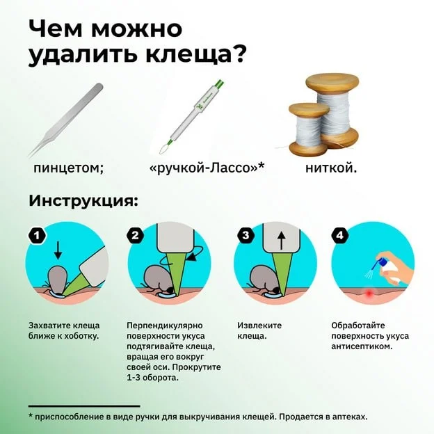Действия в случае обнаружения клеща