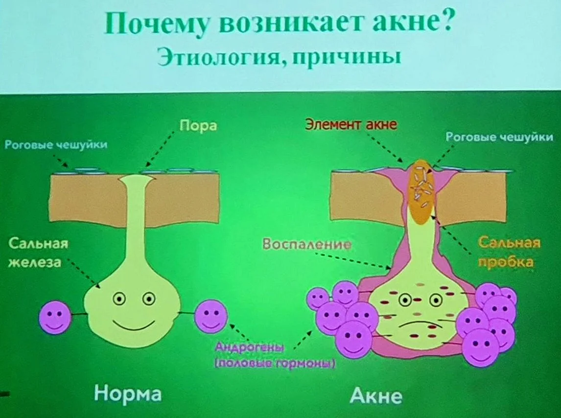 Профилактика кожных заболеваний. 28-29 января МАОУ гимназия № 32 и МАОУ СОШ № 38 г. Калининграда