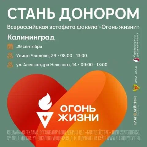 В Калининграде пройдёт эстафета факела «Огонь жизни»